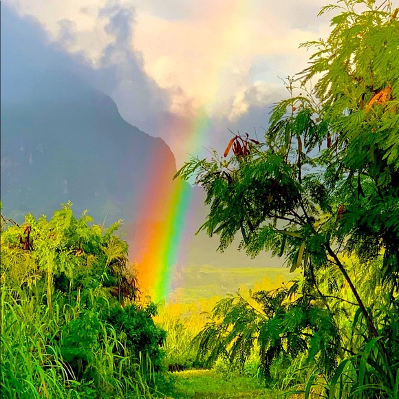 Meet your Posher, Paula - Picture 2 of 2